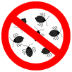 Bed Bugs Control Windsor