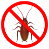 Cockroach Control Windsor
