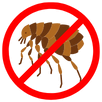 Flea Control Windsor