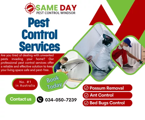 Pest Control Windsor