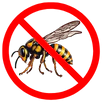Wasp Control Windsor